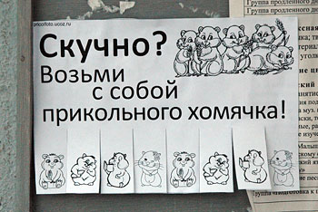 Фотоприкольные объявления: Возьми с собой прикольного хомячка!