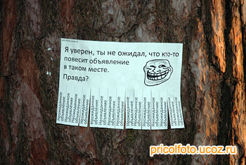 Фотоприкольные объявления: Неожиданное объявление
