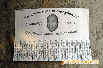 Фотоприкольные объявления: Отрывай меня полностью!