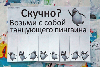 Фотоприкольные объявления: Возьми с собой танцующего пингвина