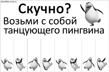 Фотоприкольные объявления: Возьми с собой танцующего пингвина