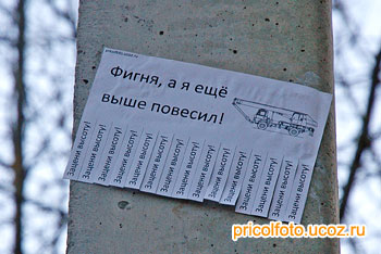 Фотоприкольные объявления: А я ещё выше!