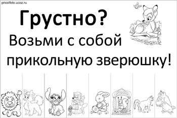 Фотоприкольные объявления: Возьми с собой прикольную зверюшку!